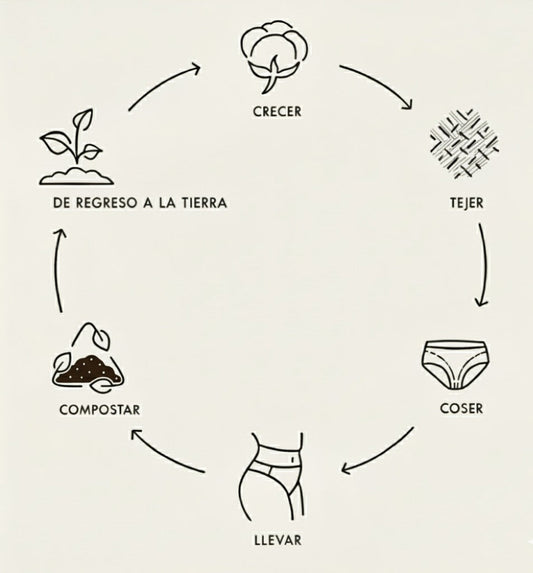 Ropa interior 100% algodón orgánico: biodegradable y compostable