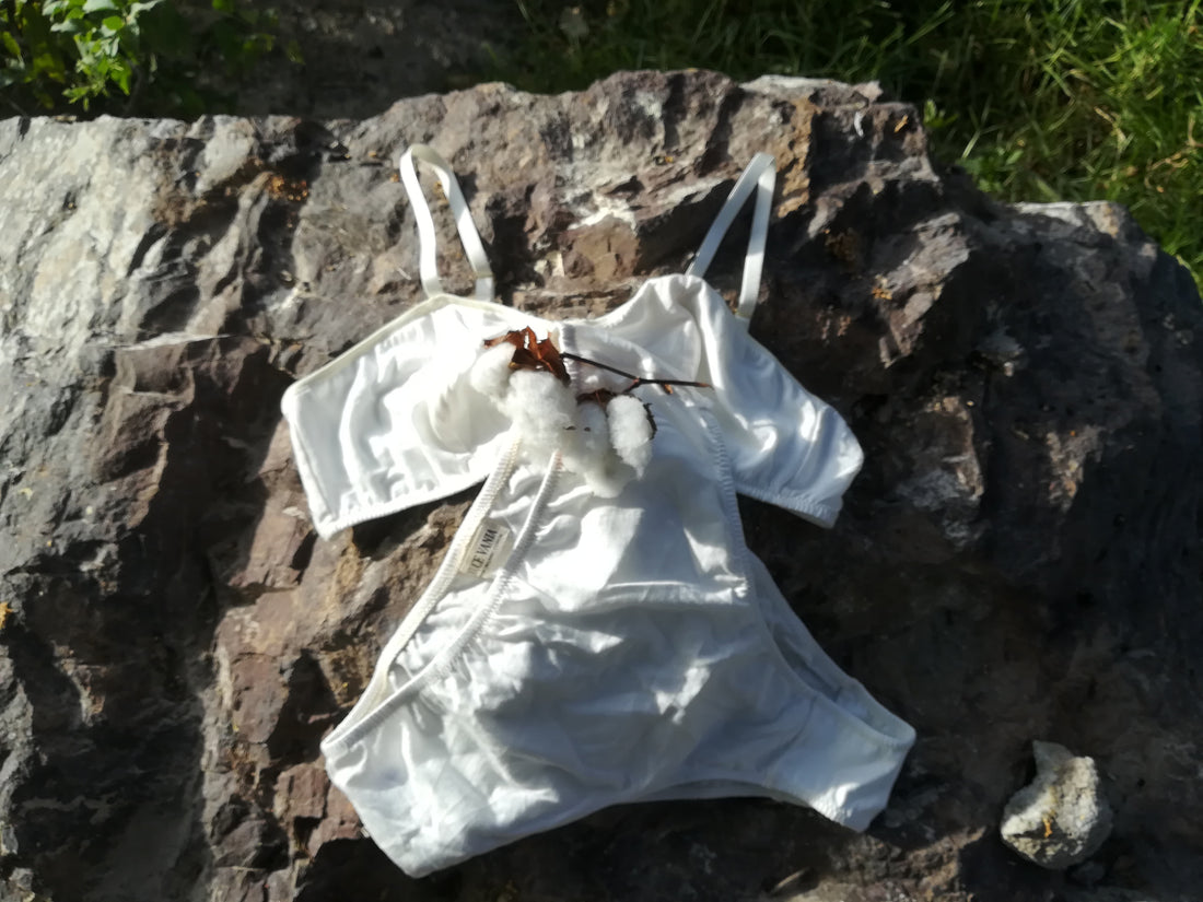 sustainable-underwear-organic-cotton
