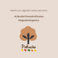 Trilogía Esencia Pakucho - Pack x3